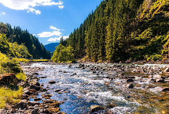 Опасное обмеление рек угрожает судоходству в регионах России