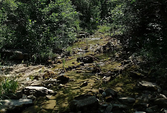 Сочи, Калининград и Ялта возглавили рейтинг направлений для отдыха на природе в марте