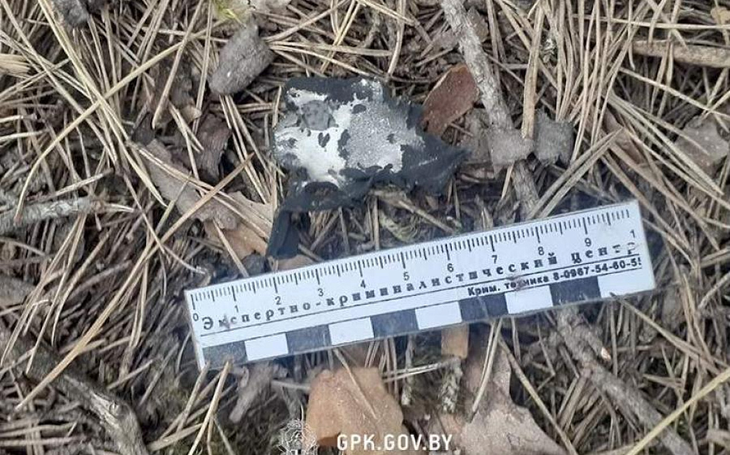 В Белоруссии сбили украинский ударный беспилотник