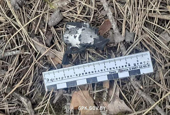 В Белоруссии сбили украинский ударный беспилотник