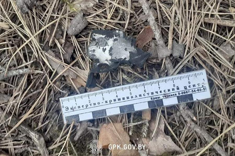В Белоруссии сбили украинский ударный беспилотник