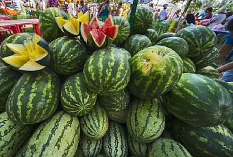 Где прячутся нитраты: как защитить себя от вредных веществ