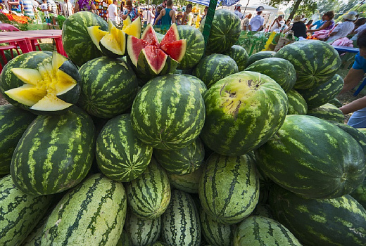 Где прячутся нитраты: как защитить себя от вредных веществ