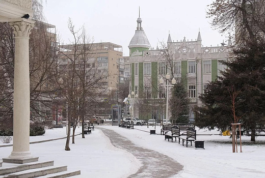 Аномально холодная зима может улучшить экосистему европейской части России