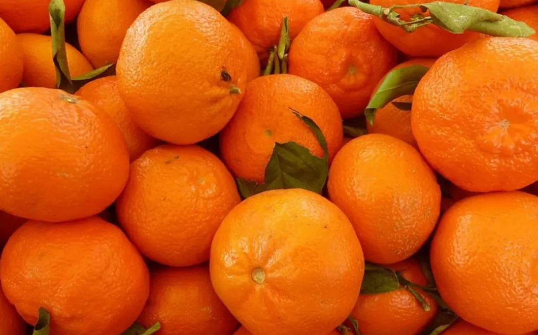 Более 12 тысяч тонн мандаринов из Абхазии проверил Россельхознадзор в Сочи