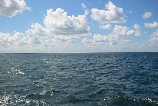 В море под Новороссийском уничтожили фугас 1943 года